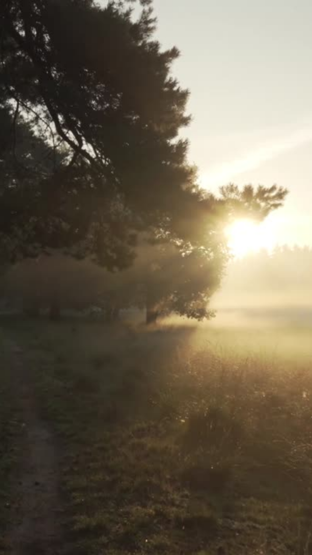 Januar-Box KLARHEIT & NEUBEGINN