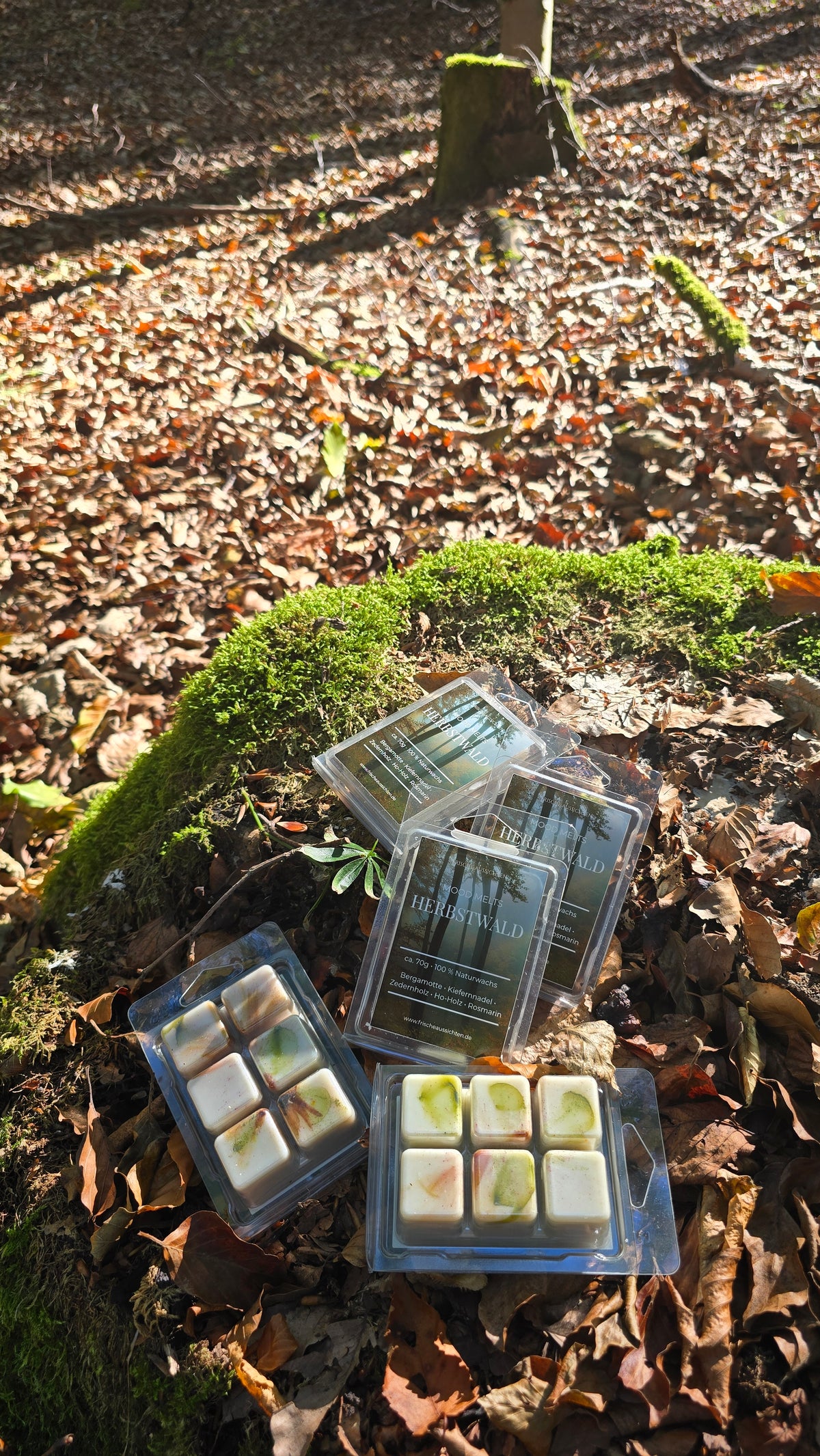 MOOD MELTS – HERBSTWALD 🌲
