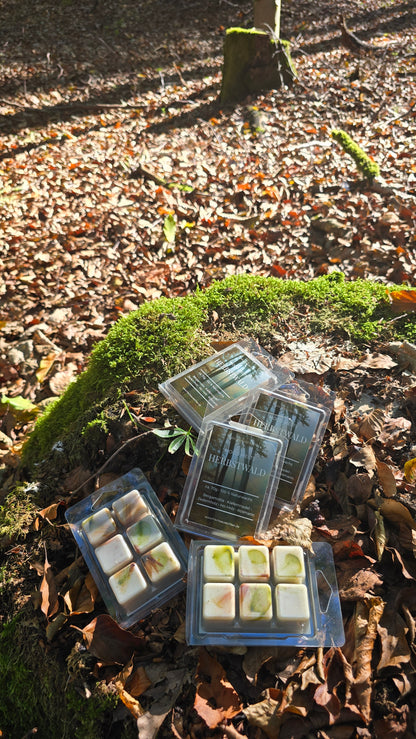 MOOD MELTS – HERBSTWALD 🌲