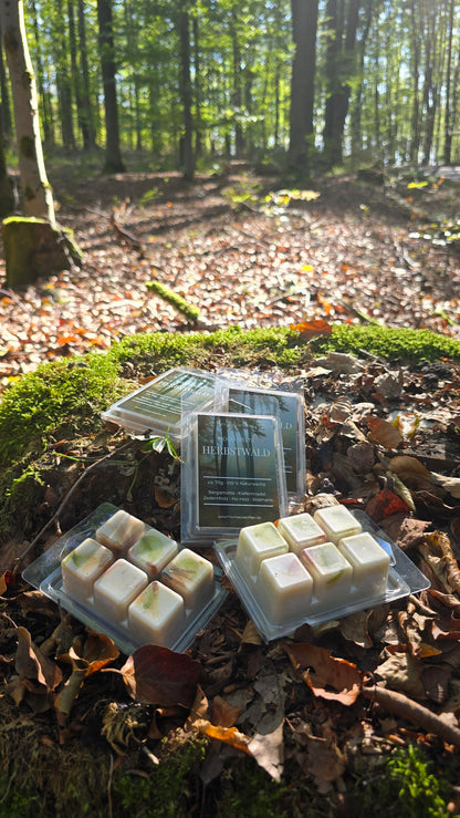 MOOD MELTS – HERBSTWALD 🌲