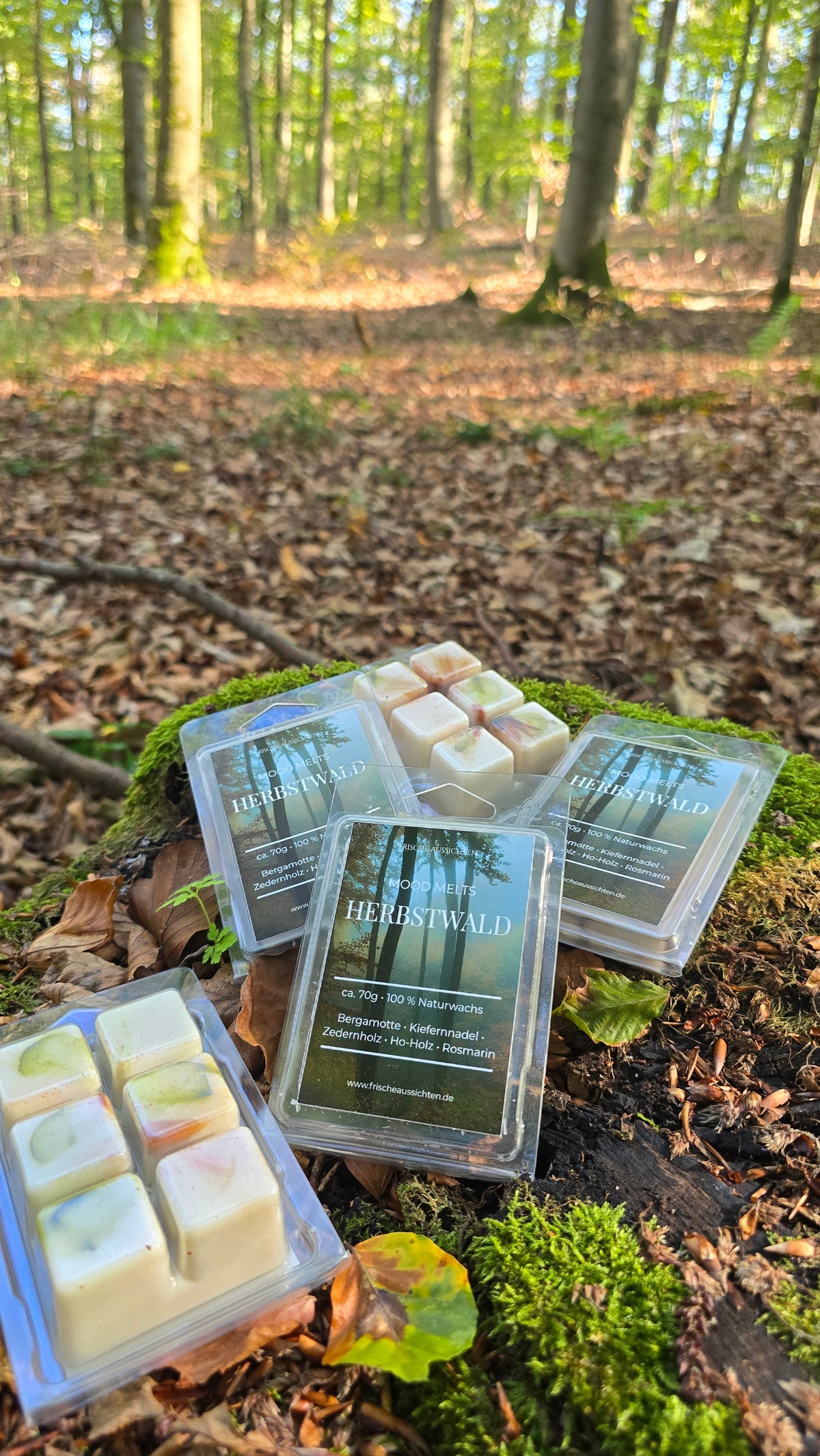 MOOD MELTS – HERBSTWALD 🌲