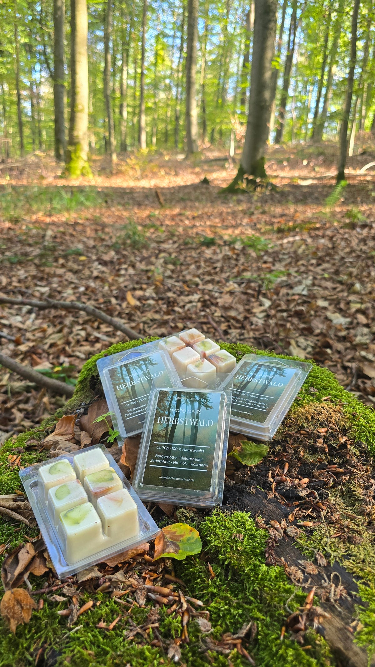 MOOD MELTS – HERBSTWALD 🌲