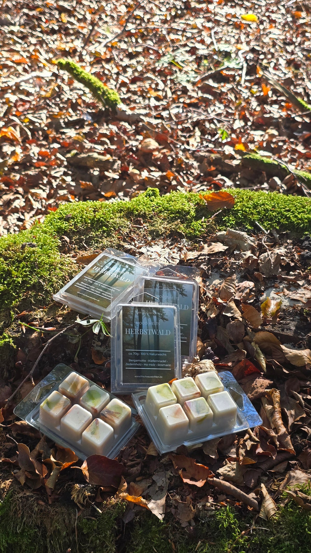 MOOD MELTS – HERBSTWALD 🌲