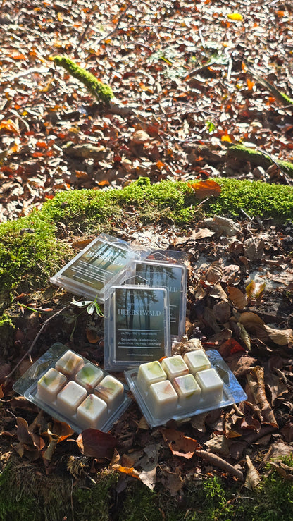 MOOD MELTS – HERBSTWALD 🌲